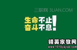 "奋斗"用英语怎么写就是 单词 奋斗
