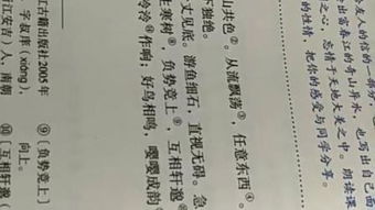 与朱元思书原文及翻译
