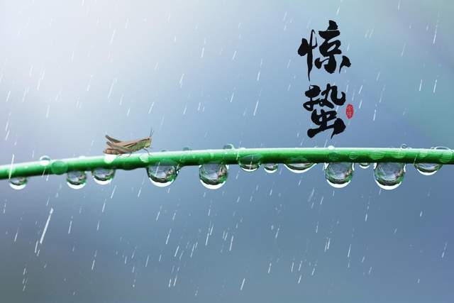 春雷响万物长
