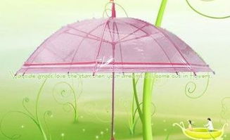 花雨伞
