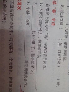 双的词语
