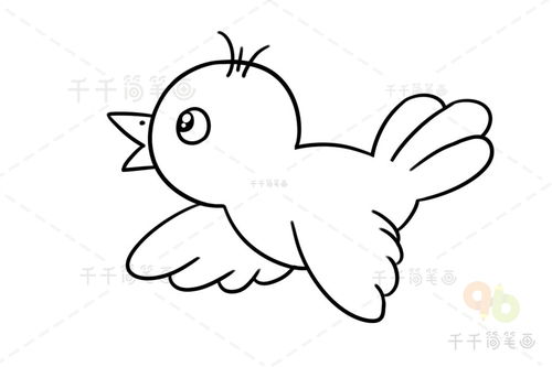小鸟怎么画简笔画
