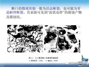 都可以召唤小兵,都有不死之身,《镇魂街》中最相似的两个守护灵是谁