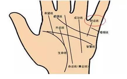 怎么看手相