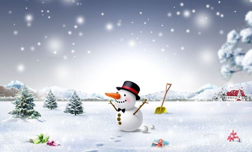 snowy英语怎么读