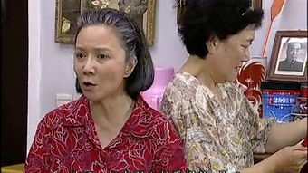马大姐新传电视剧
