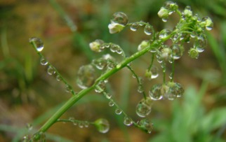 梅雨季节是什么时间