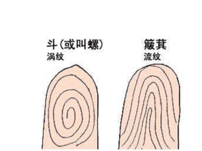 手指上的斗和簸箕代表什么?