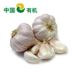 大蒜泡酒喝,对身体有好处吗?