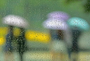 梅雨季节是什么时间
