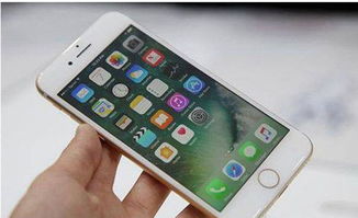 iphone7换个外屏幕多少钱?