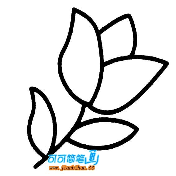简易的花的画法
