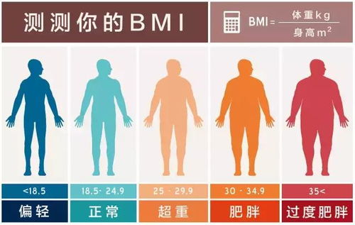 男生bmi标准
