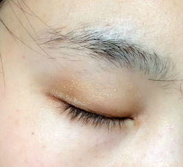 面相学眉毛

