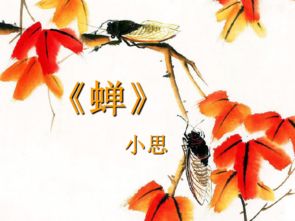 三月初二

