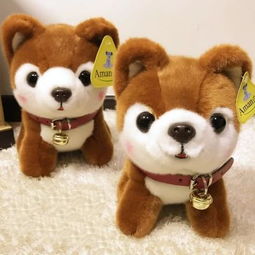 俊介犬
