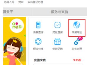 移动国际漫游资费
