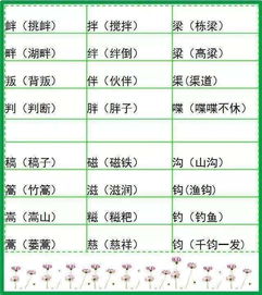 的形近字组词

