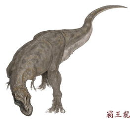 恐龙种类名称及图片
