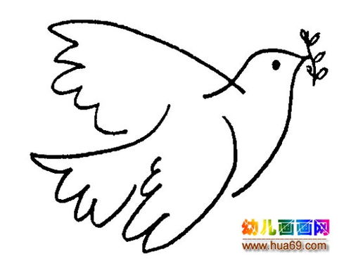 鸽子怎么画简笔画图片