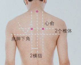 肺腧穴
