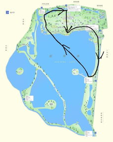 北京颐和园的面积约是290平方米还是公顷