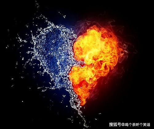 水象星座和火象星座是怎么分的