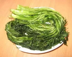 雪里红是什么菜