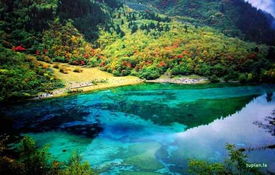 去四川九寨沟
