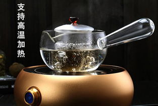 什么茶叶适合用蒸茶器
