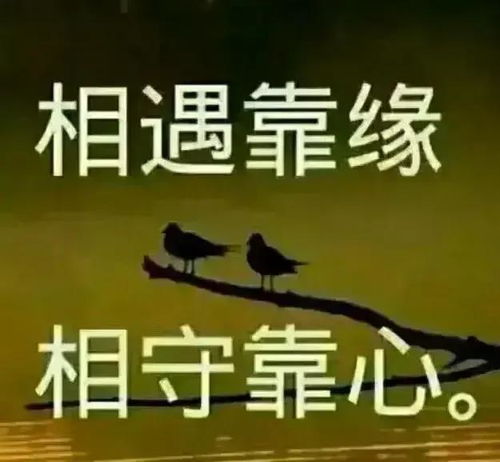 断舍离是什么意思?