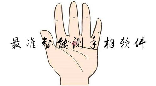 看手相免费测试扫一扫,有人会看手相吗?