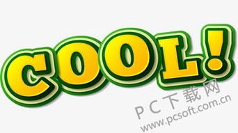 COOL是什么意思中文
