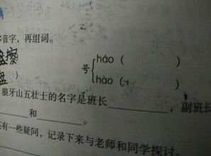 号的组词
