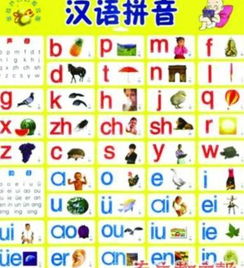 ao韵的字
