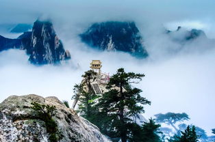 华山在哪