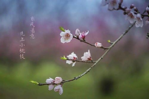 一什么春风填量词可以是一夜春风吗