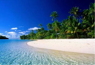 鹿城是哪个城市的别称
