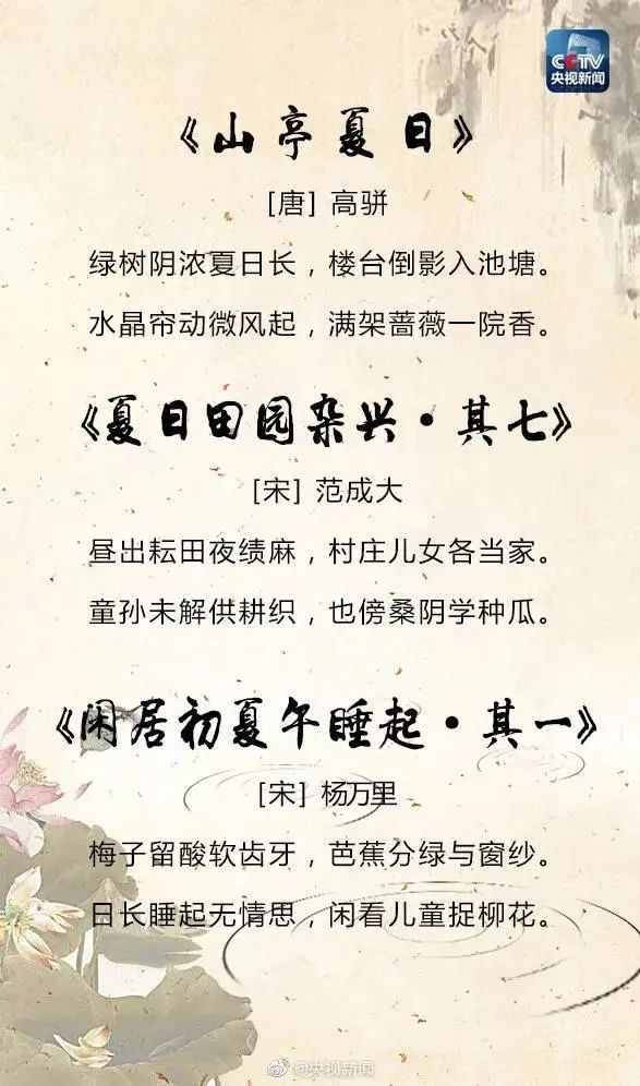 夏季的诗句有哪些