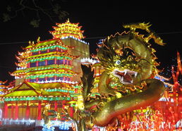 自贡灯会门票多少钱一张2022?