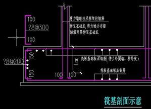 筏板基础钢筋布置
