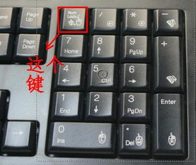 笔记本电脑小键盘怎么打开