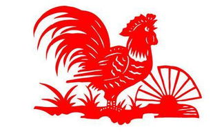 属兔和属鸡的合不合 属兔和属鸡结婚好吗
