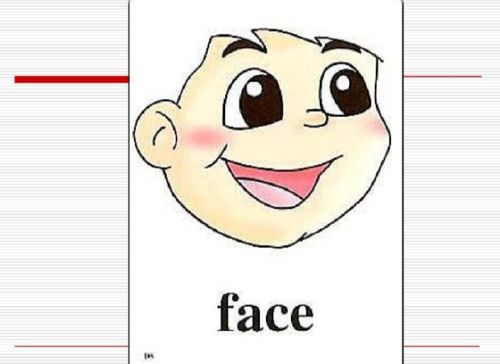 外貌英语怎么读