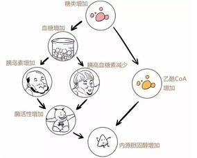 胆固醇过高有什么危害