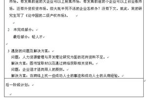 毕业论文中期报告

