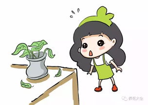 绿萝优秀作文