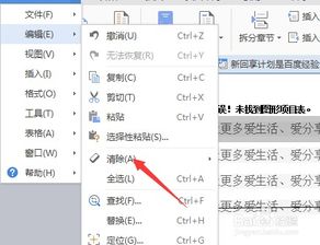 wpsword怎么清除格式