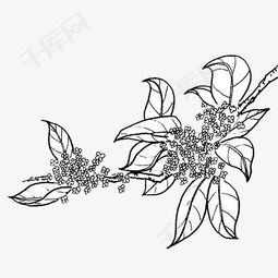 中秋节的桂花树怎么画
