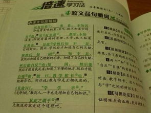 虽有嘉肴原文及翻译
